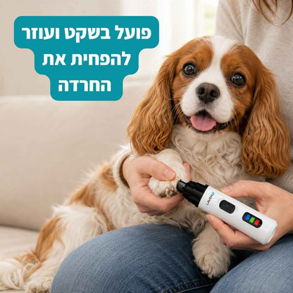Nayli - המשייף השקט